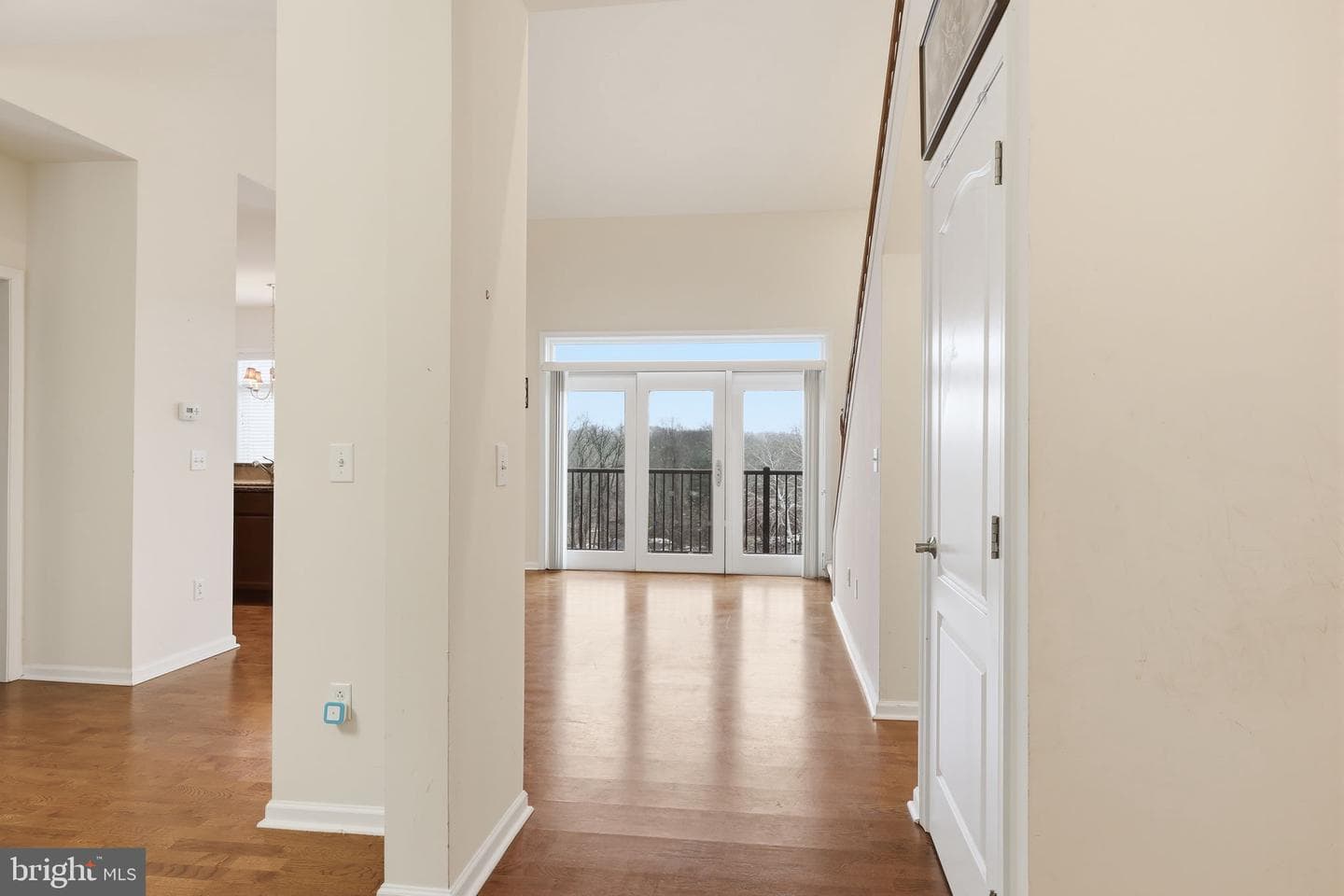 556 Carson Terrace photo 4