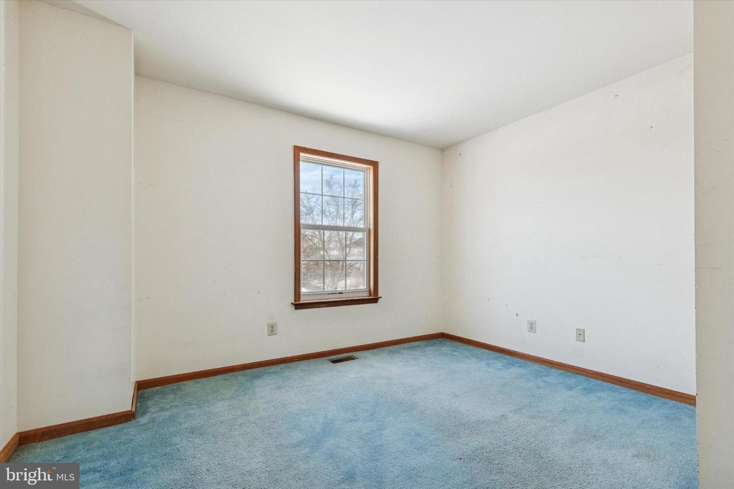 111 Clayton Court photo 21