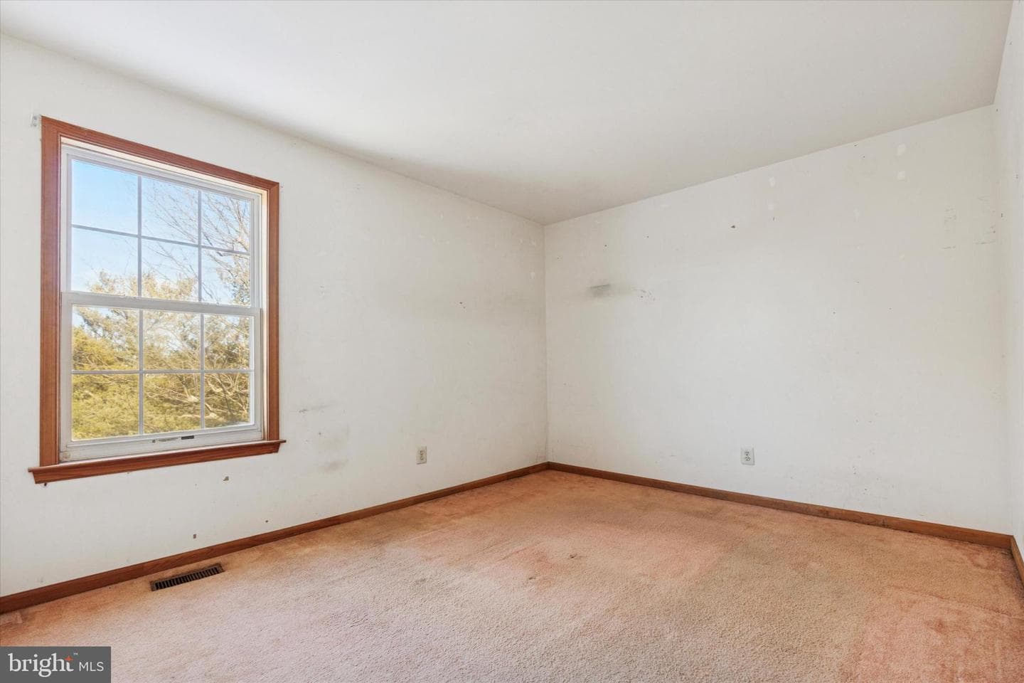 111 Clayton Court photo 28