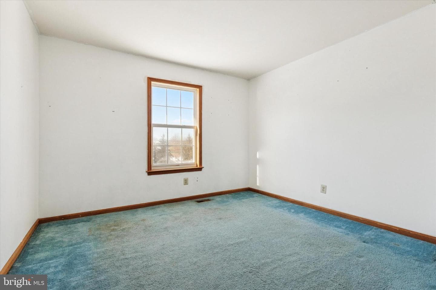 111 Clayton Court photo 30