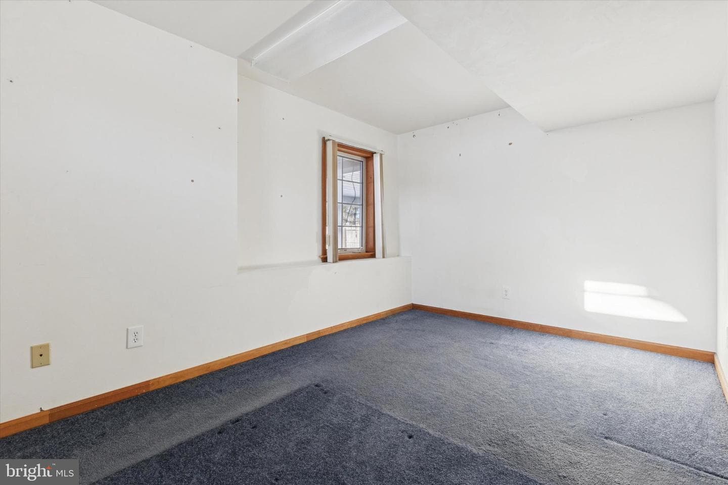 111 Clayton Court photo 41