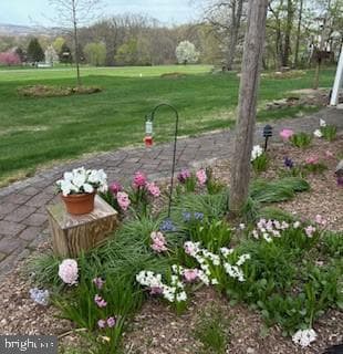 1092 Palm Hill Road photo 49