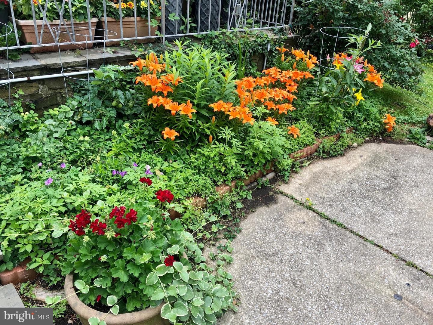 1413 June Lane photo 63