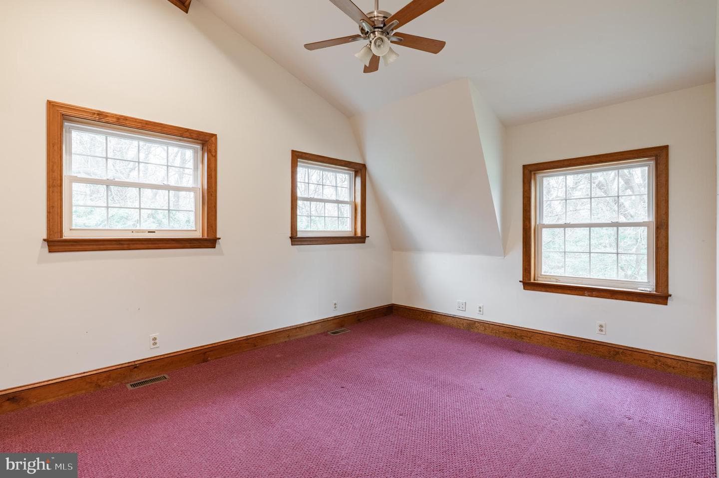 54 Norristown Road photo 39