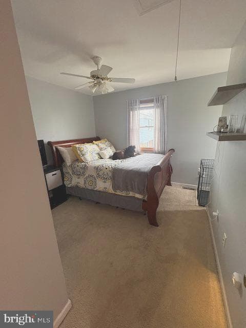 219 Connor Street photo 26