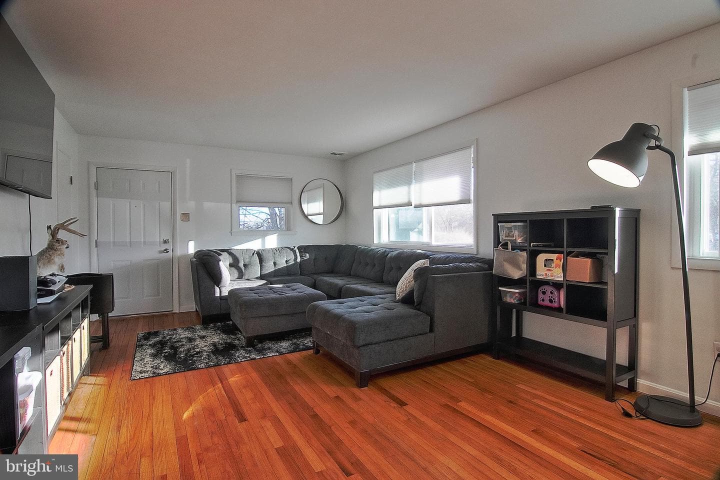 203 Lemon Street photo 6