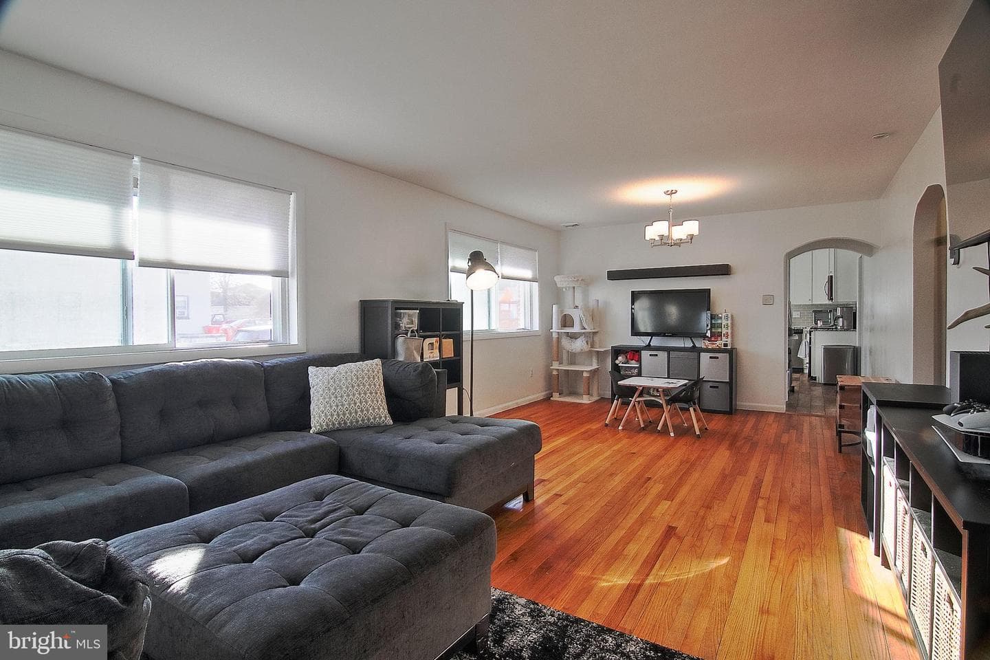 203 Lemon Street photo 7