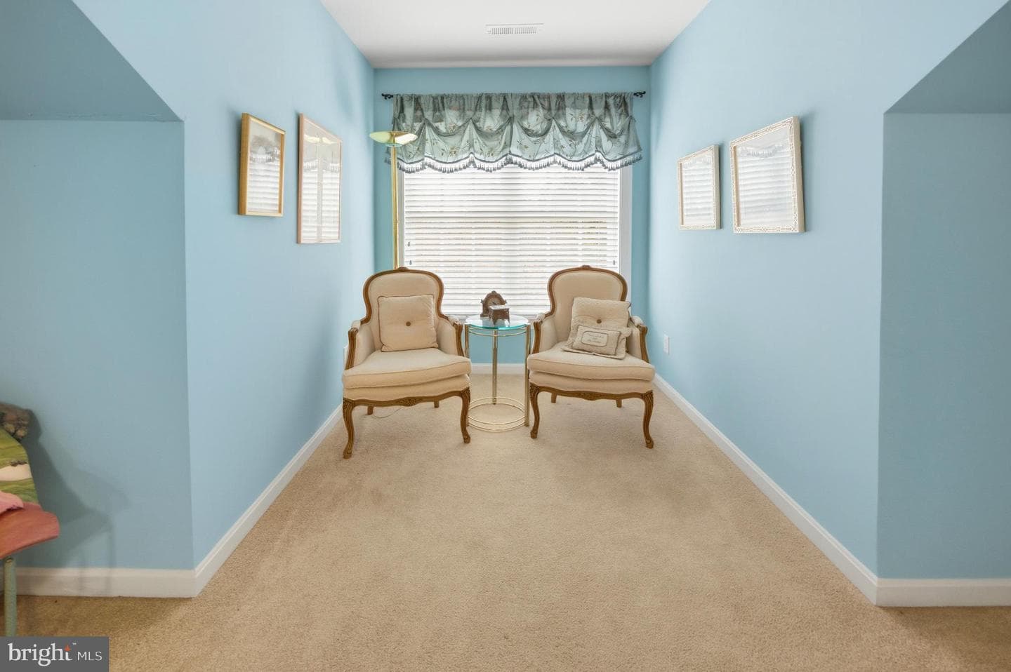 377 Primrose Drive photo 47