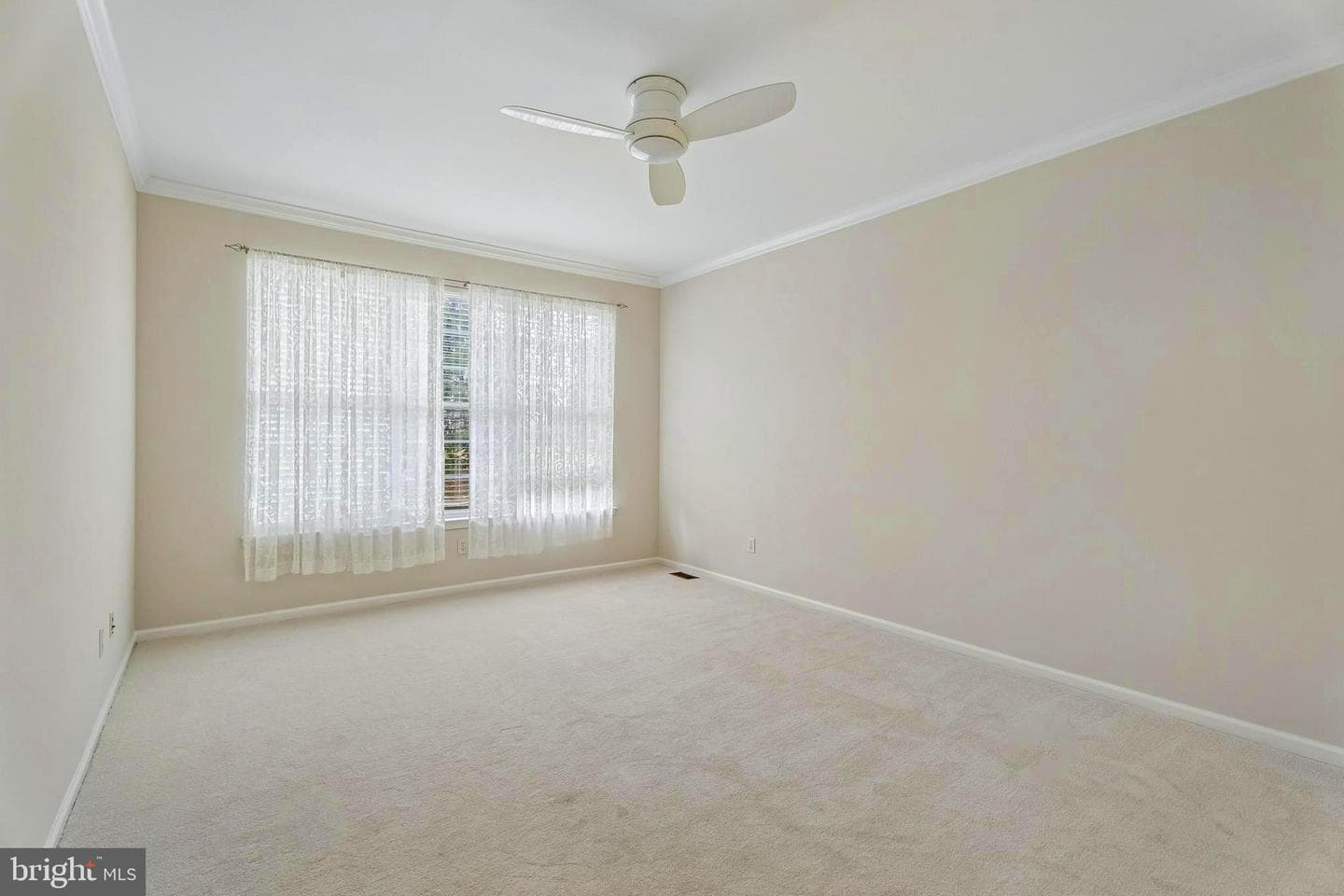 172 Lattice Lane photo 15
