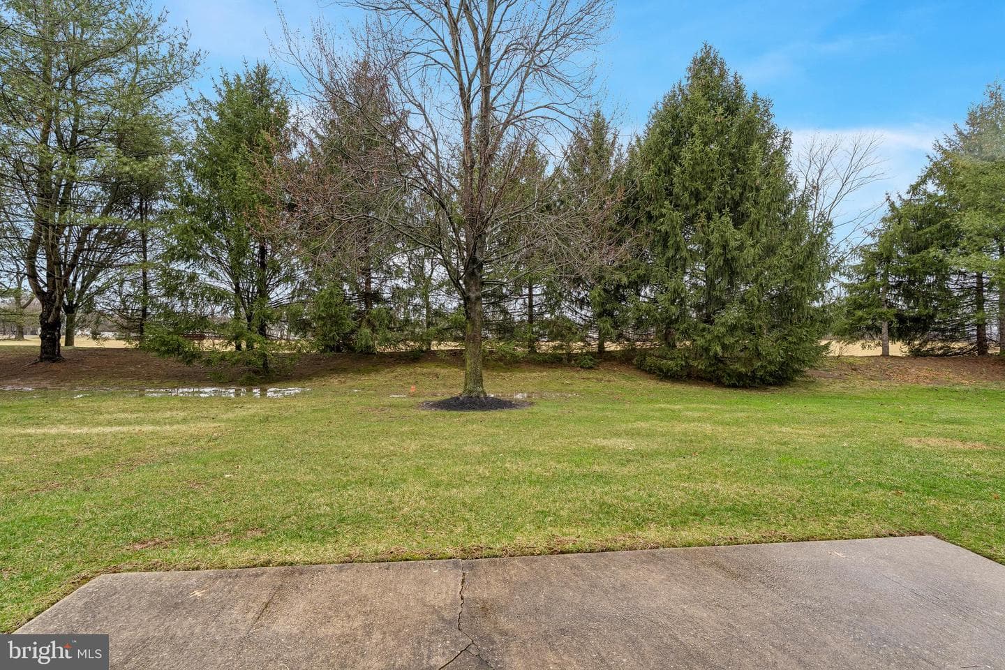 172 Lattice Lane photo 30