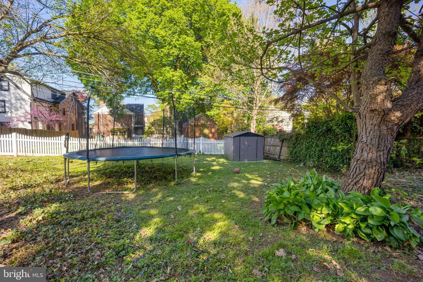 209 Bryn Mawr photo 34