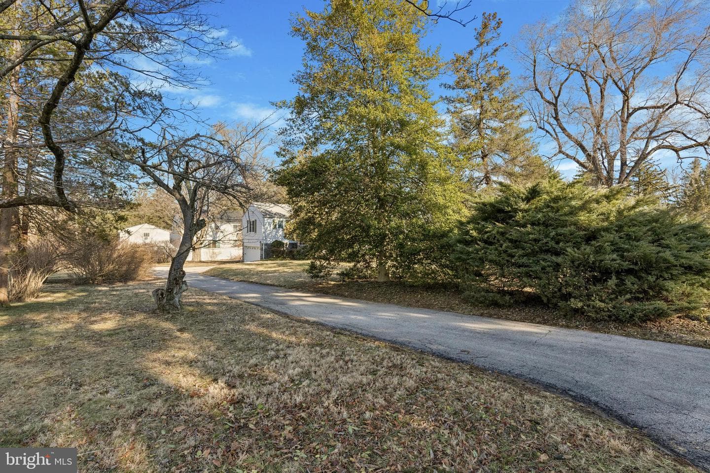997 Blue Rock photo 21