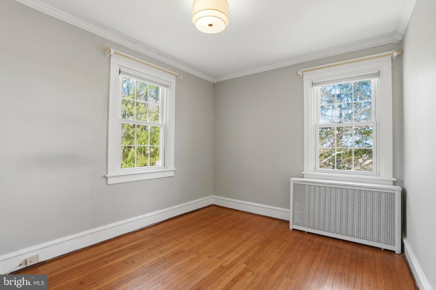 359 Lismore Avenue photo 21