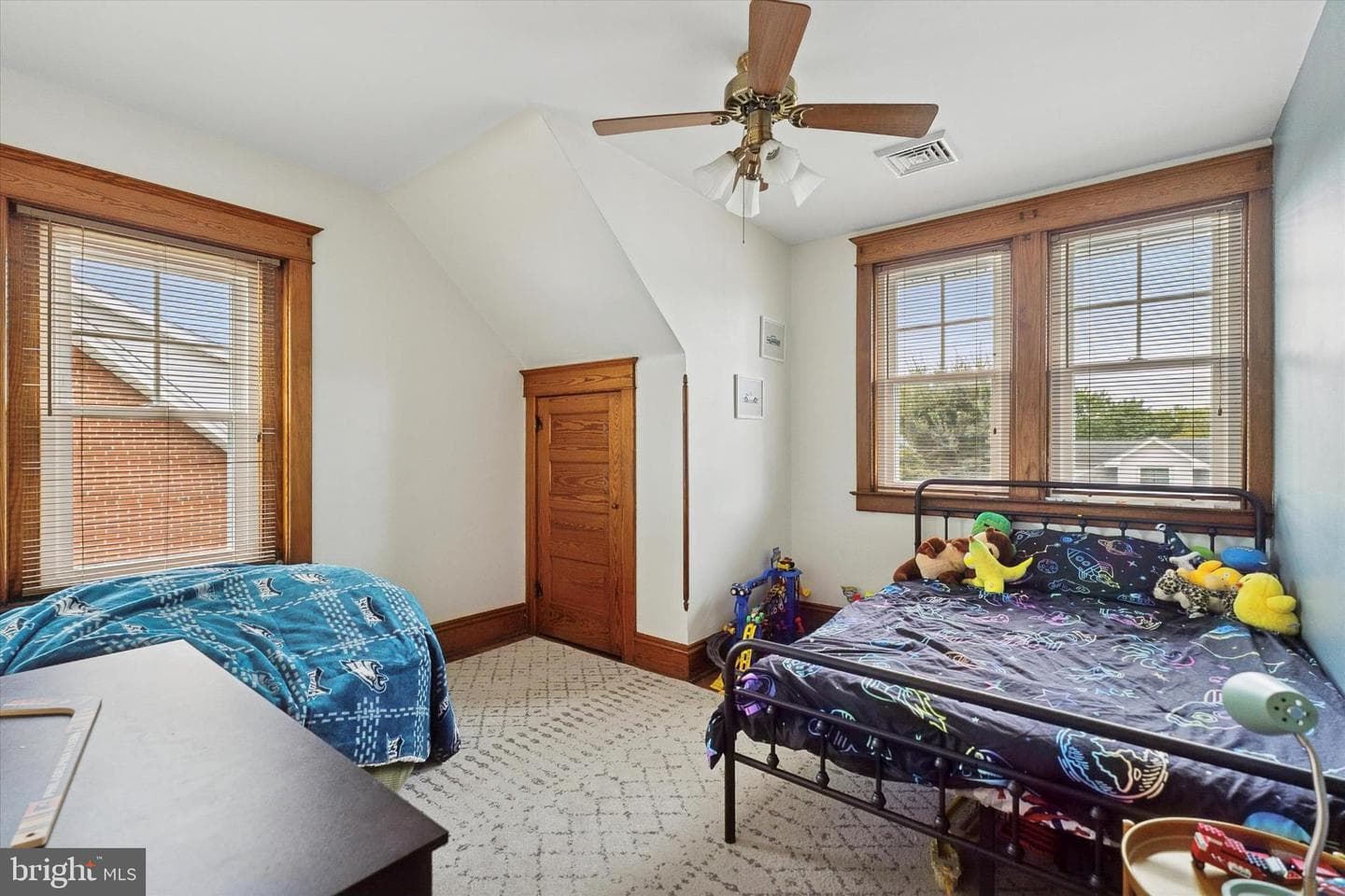 507 Delaware Avenue photo 21