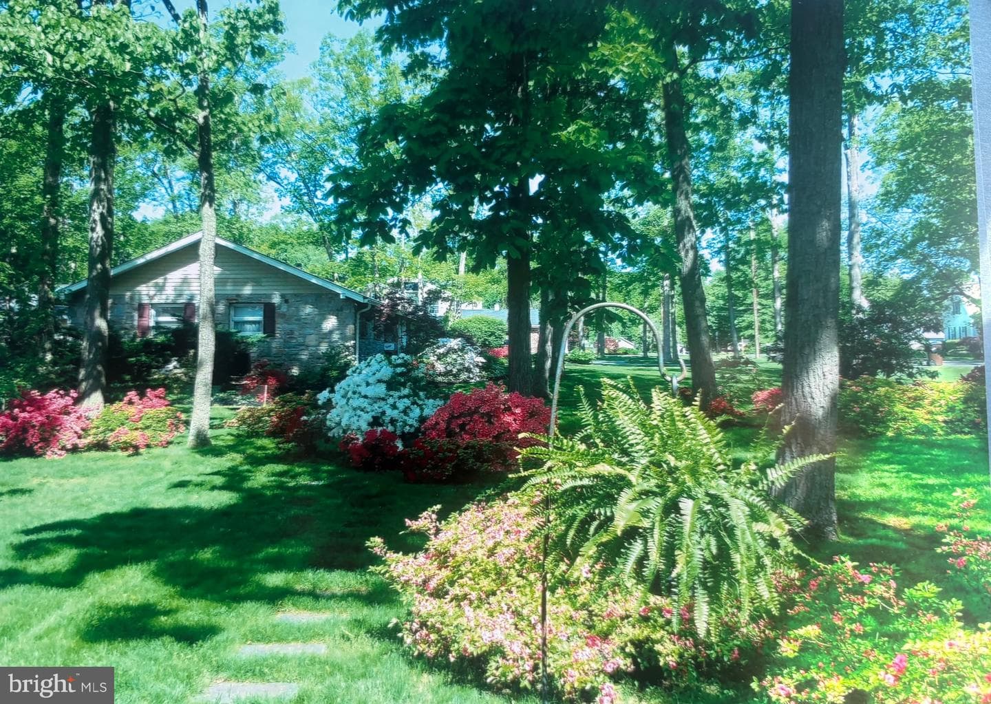 227 W Reliance Road photo 62
