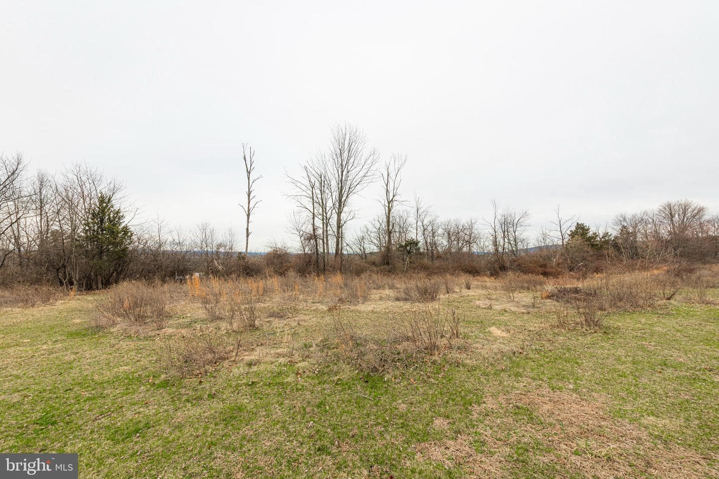 1720 Farmington Avenue photo 35