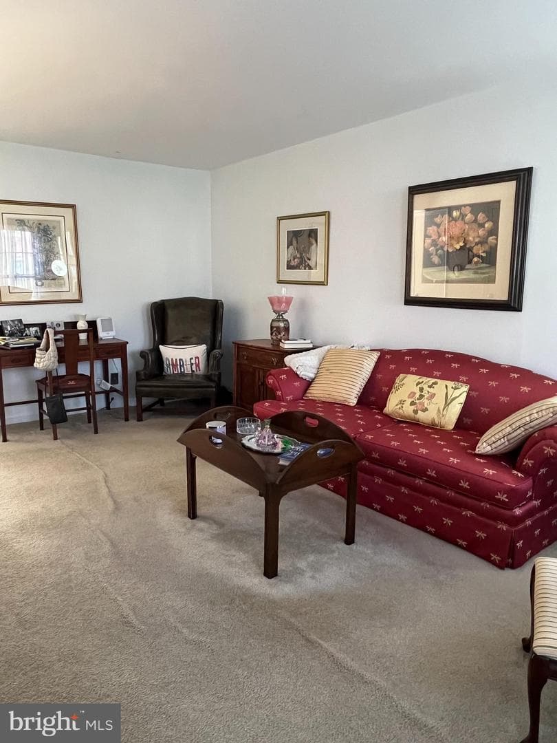 154 Albemarle Drive photo 7