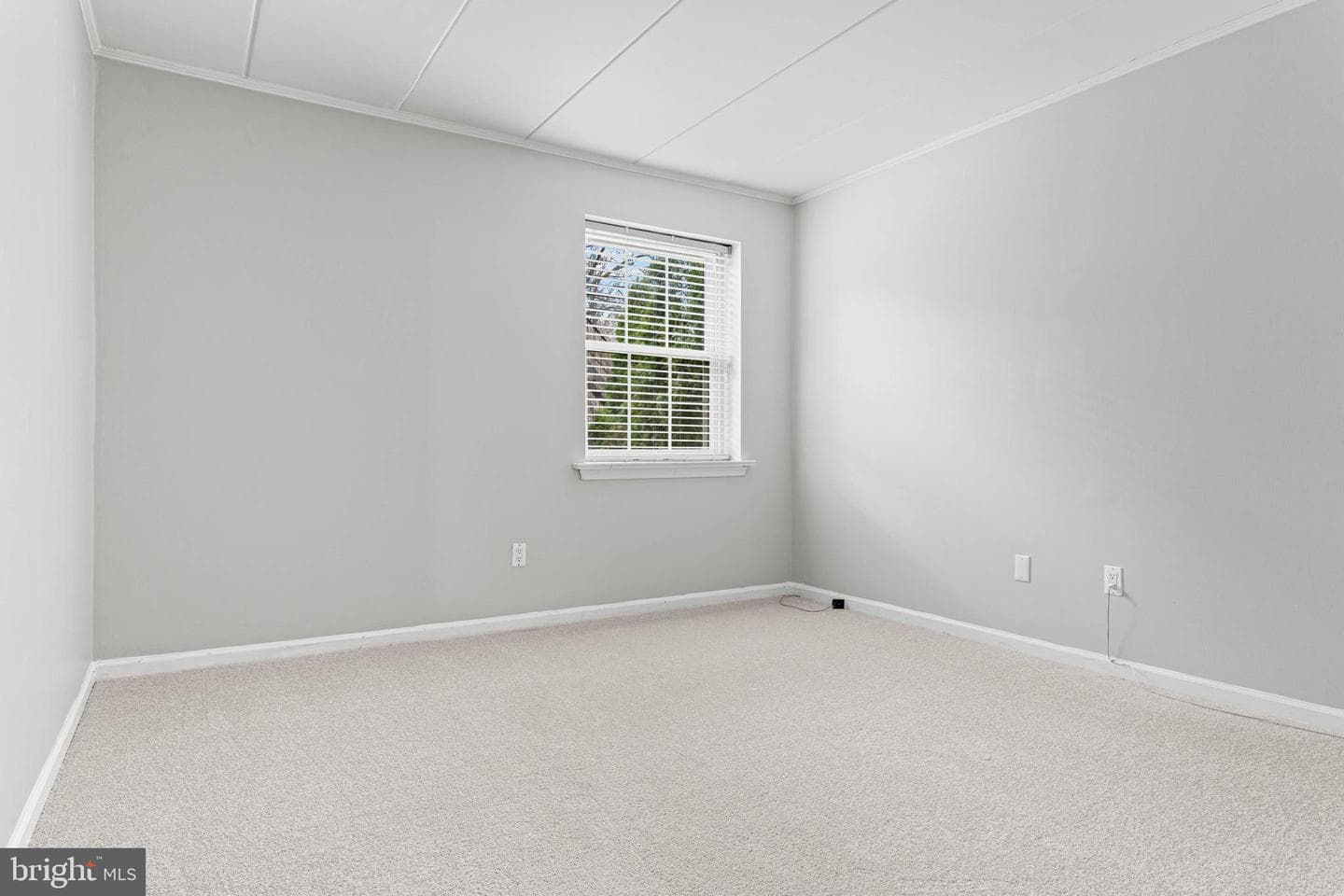 312 Windsor Avenue #312-B photo 19