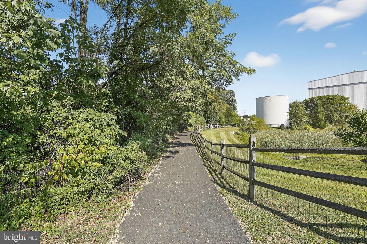 36 Jessop Lane photo 25