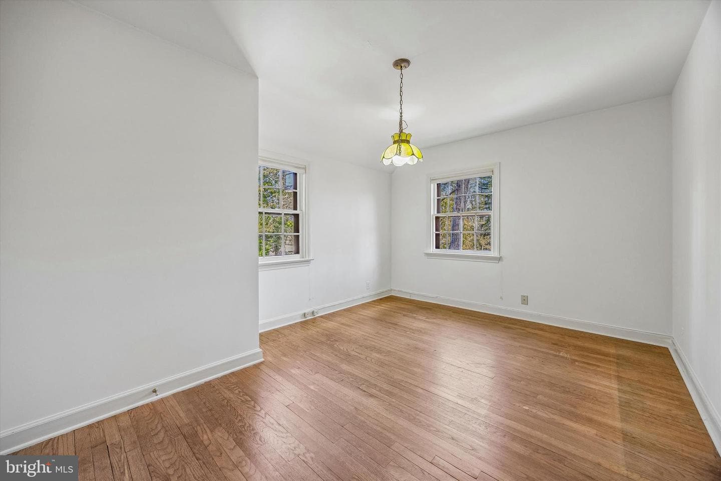 907 Cedar Grove Road photo 18