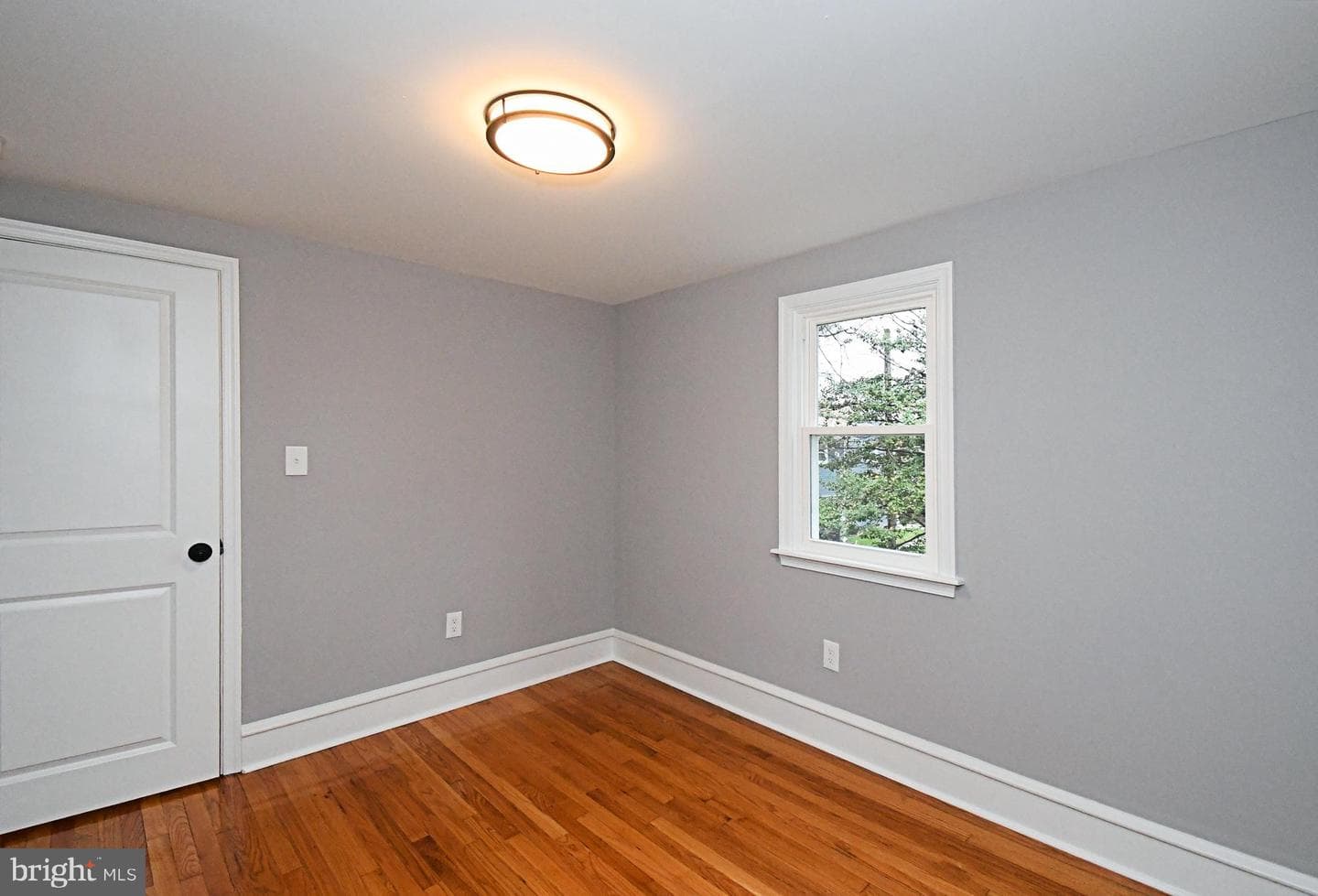 507 Croyden Road photo 36