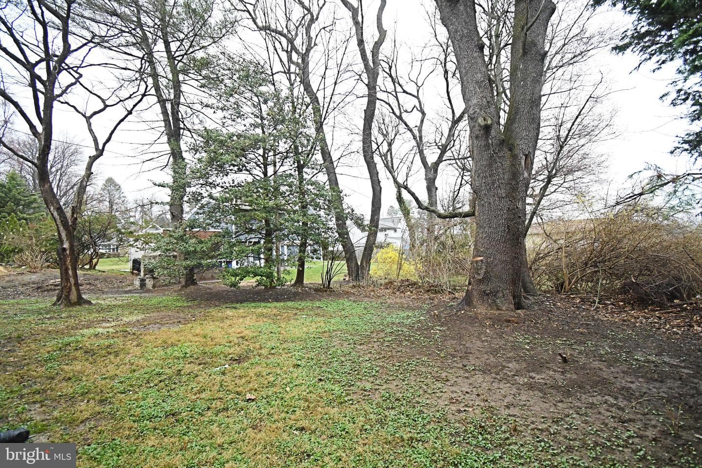 507 Croyden Road photo 46