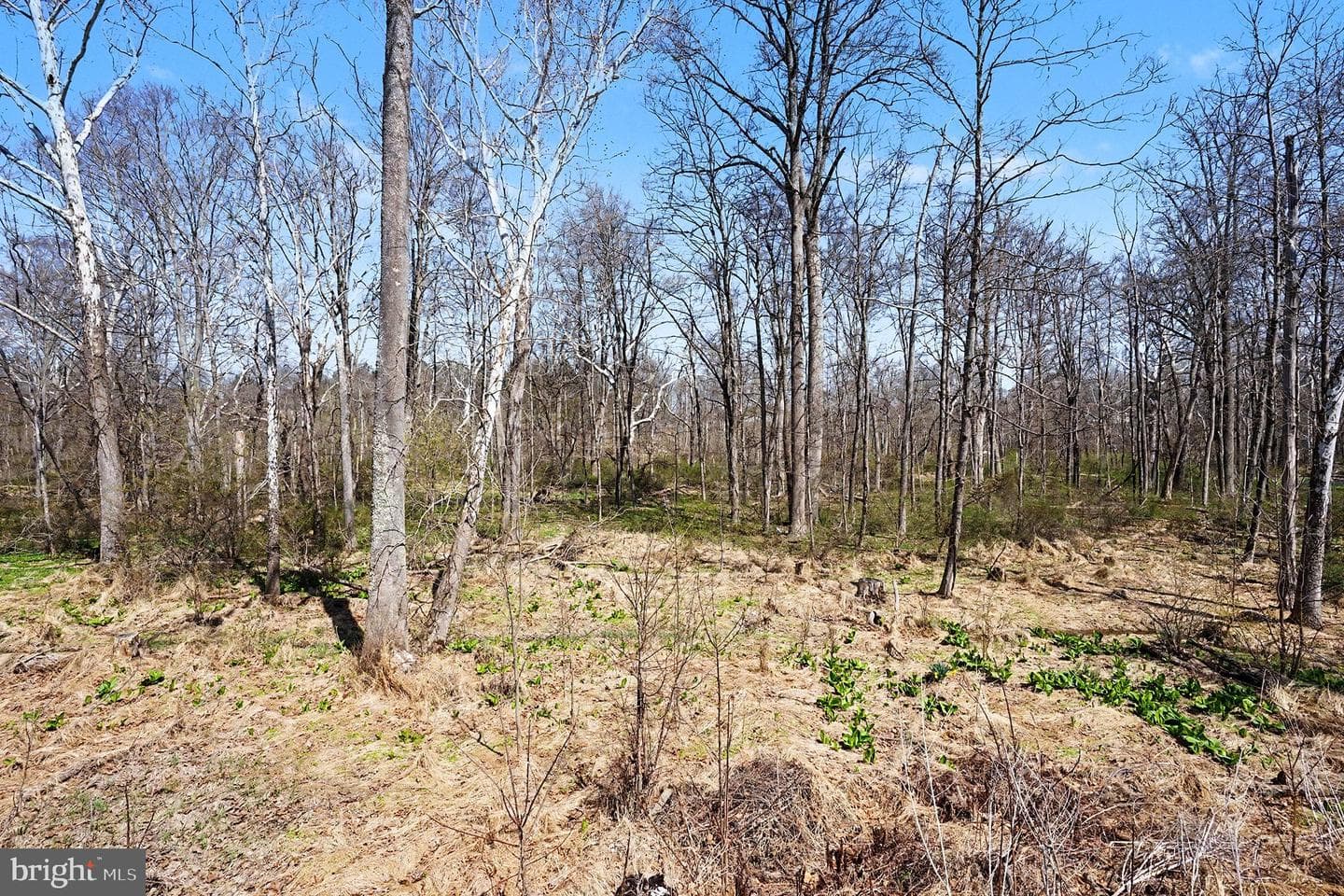 141 Papermill Road photo 40