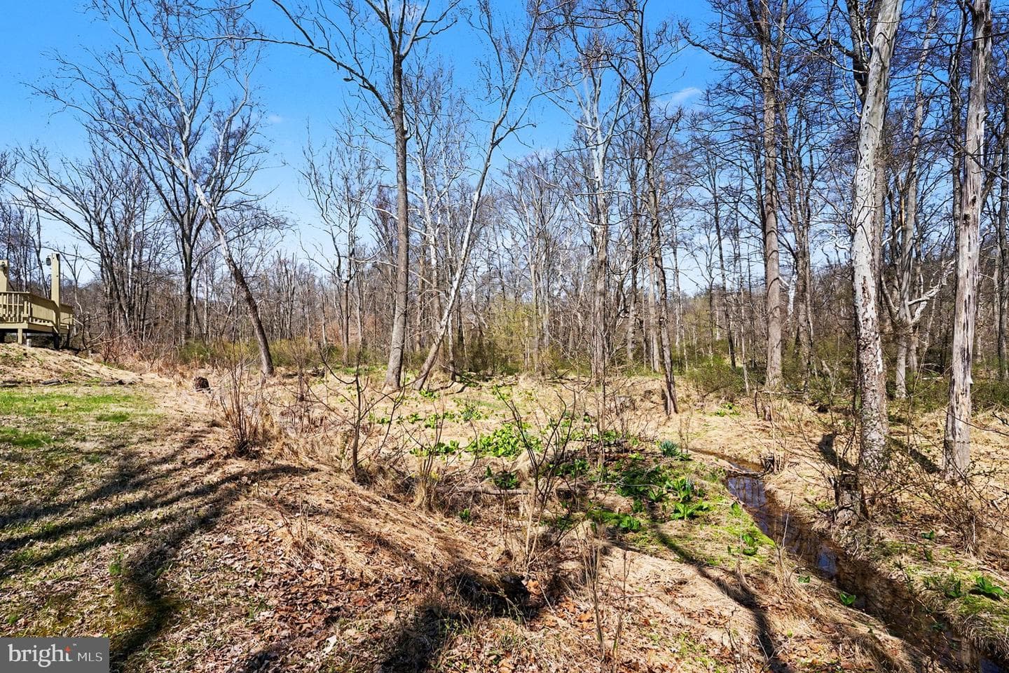 141 Papermill Road photo 42