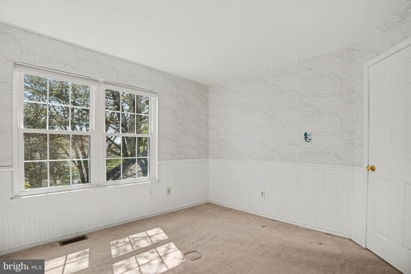 117 Elio Circle photo 37