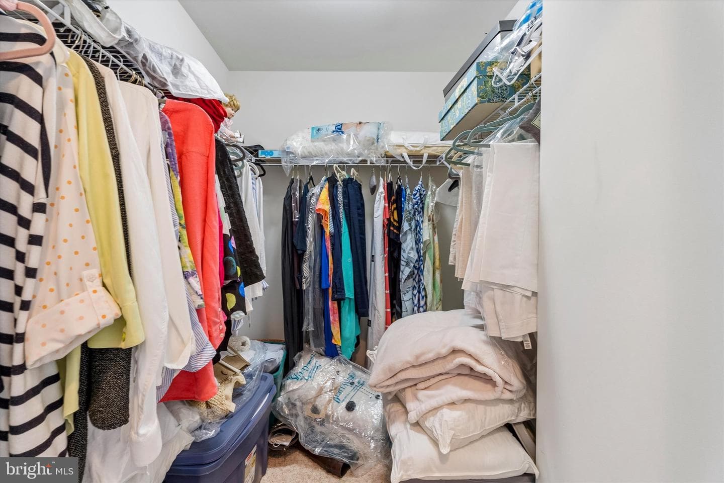 440 Primrose Drive photo 45