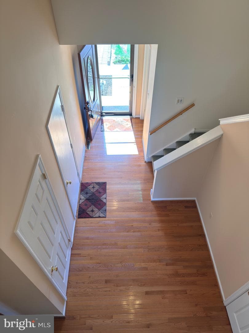 102 Elberta Drive photo 15