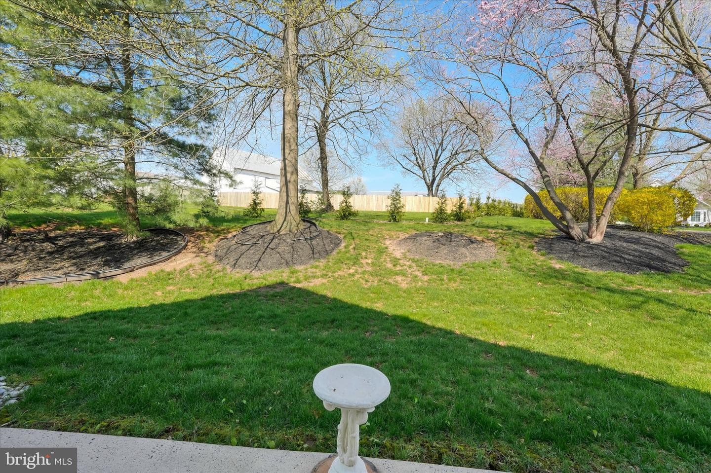300 Westminster Lane photo 37