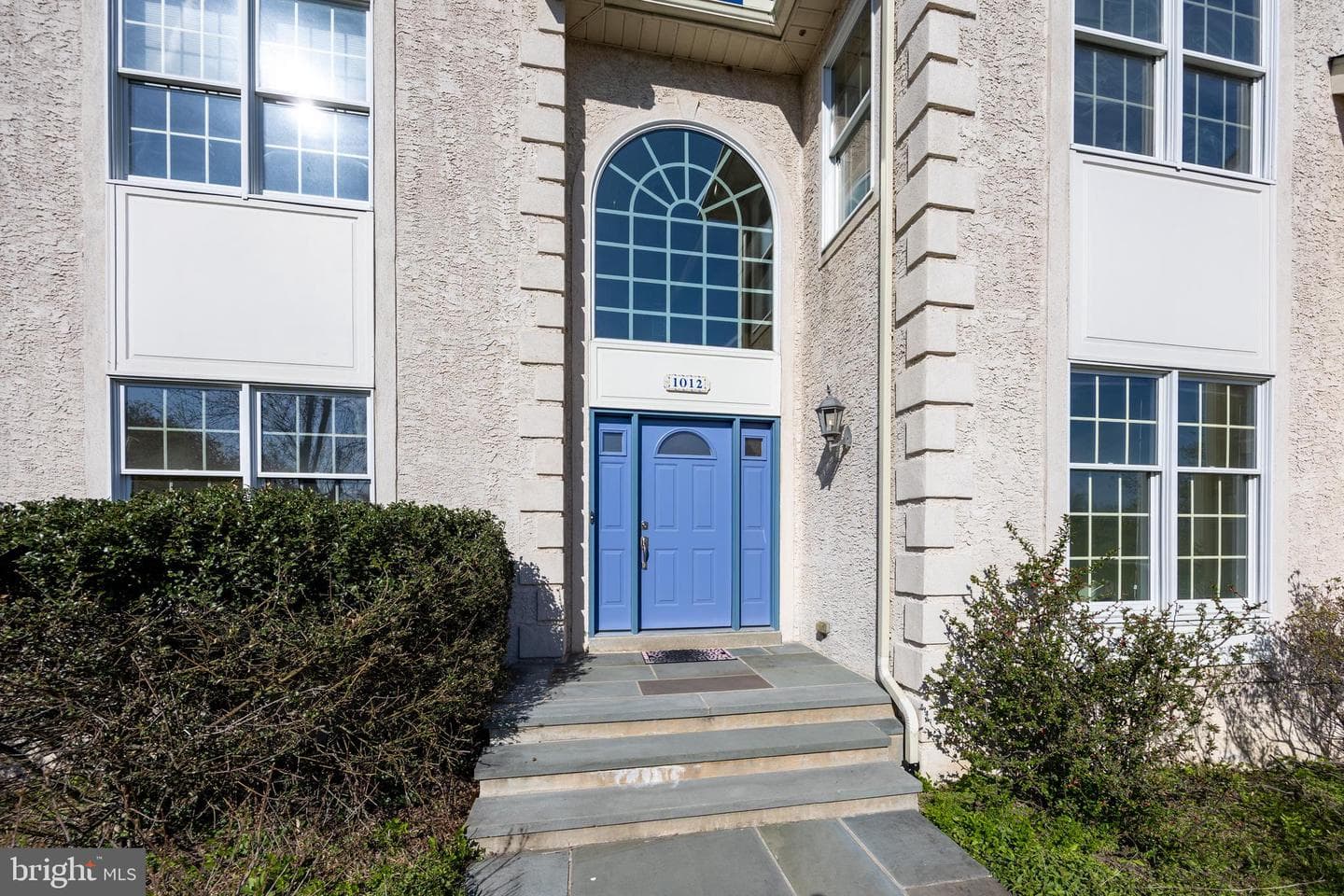 1012 Redtail photo 4