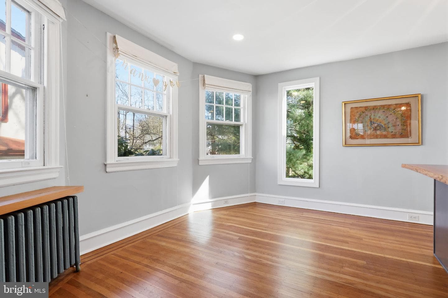 808 Elkins Avenue photo 18