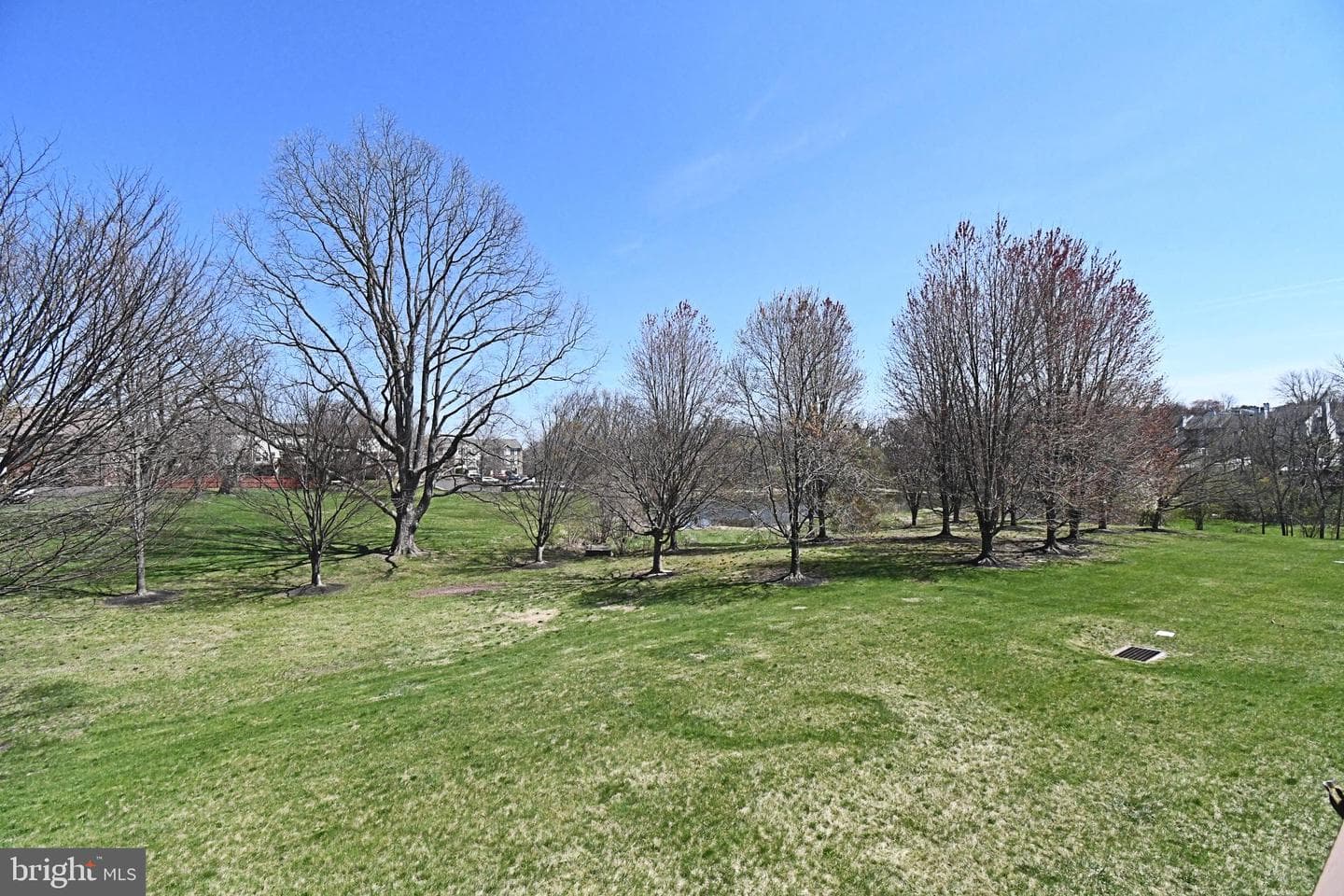 402 Jene Court photo 49