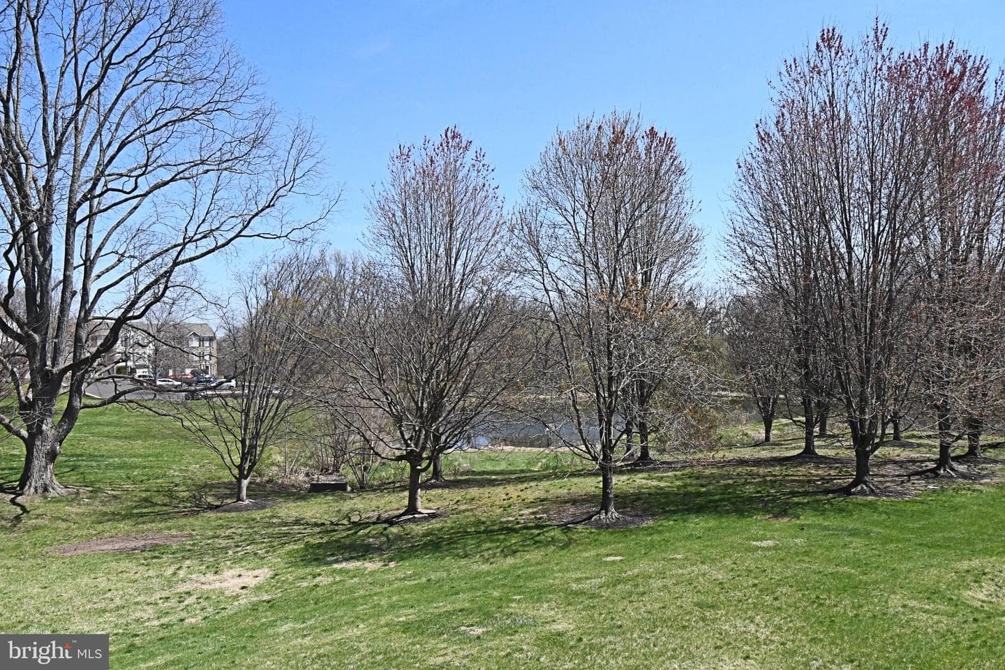 402 Jene Court photo 50
