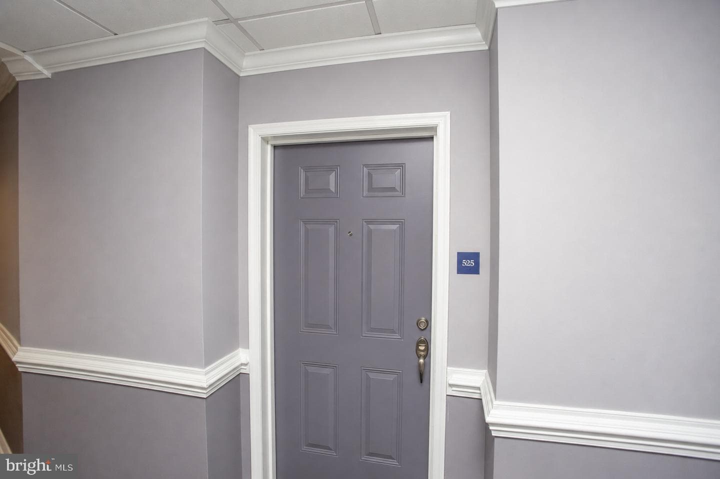 525 Carson Terrace photo 6