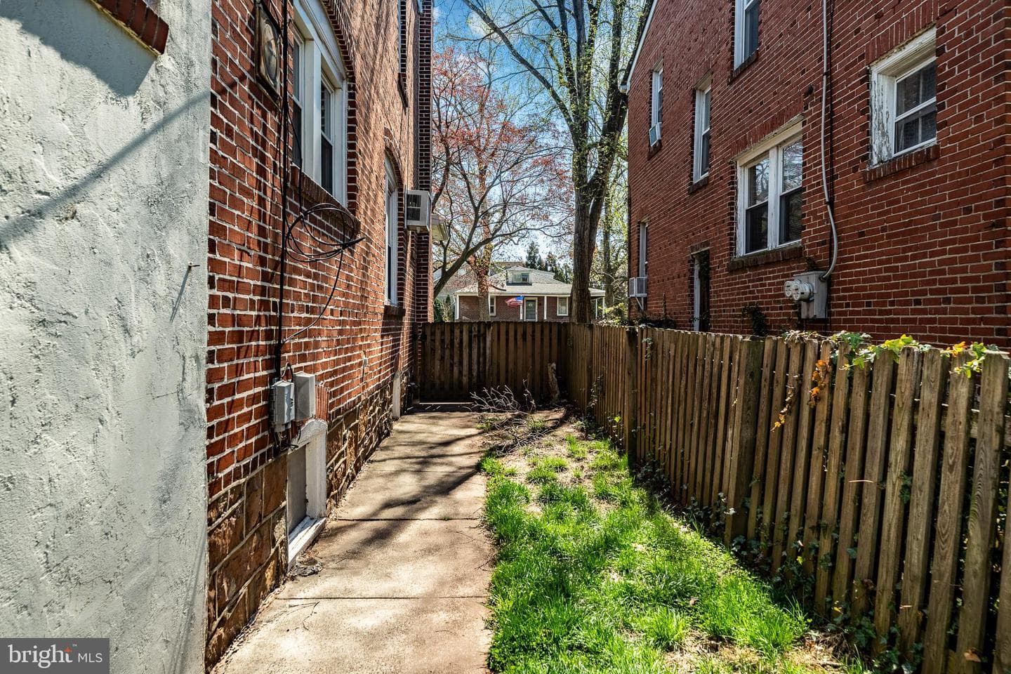 1703 Powell Street photo 17