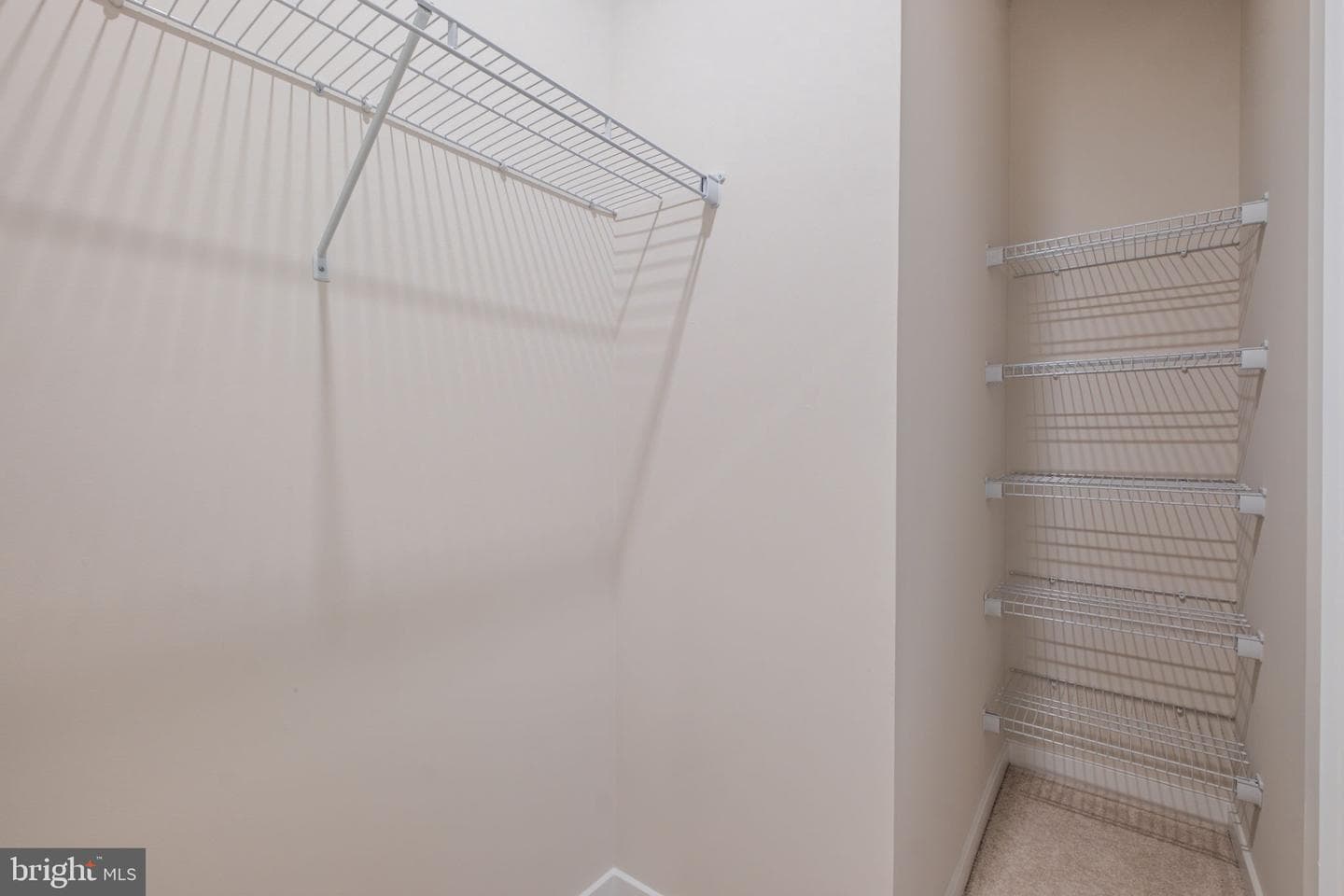254 River Trail photo 47