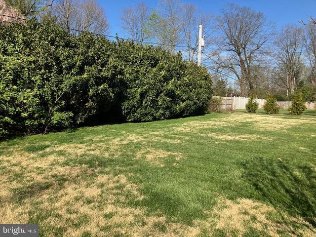 1036 Kipling Road photo 35