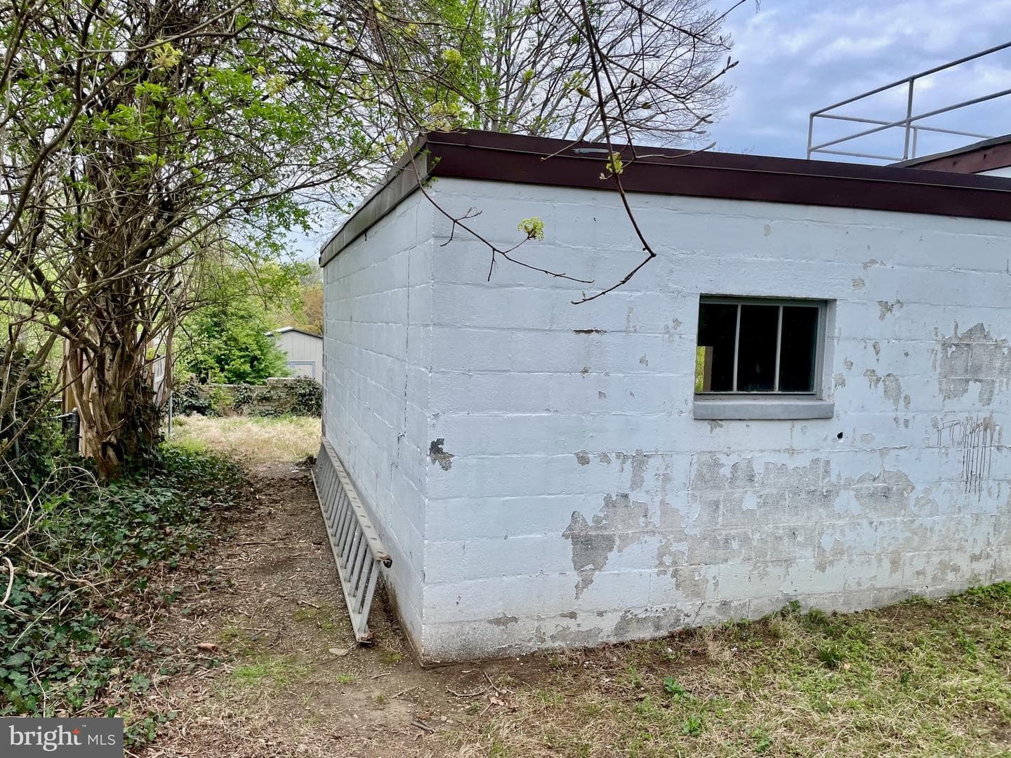 119 Robbins Avenue photo 30
