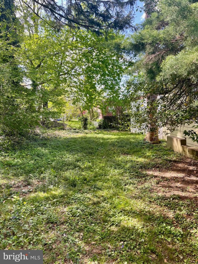 119 Robbins Avenue photo 63