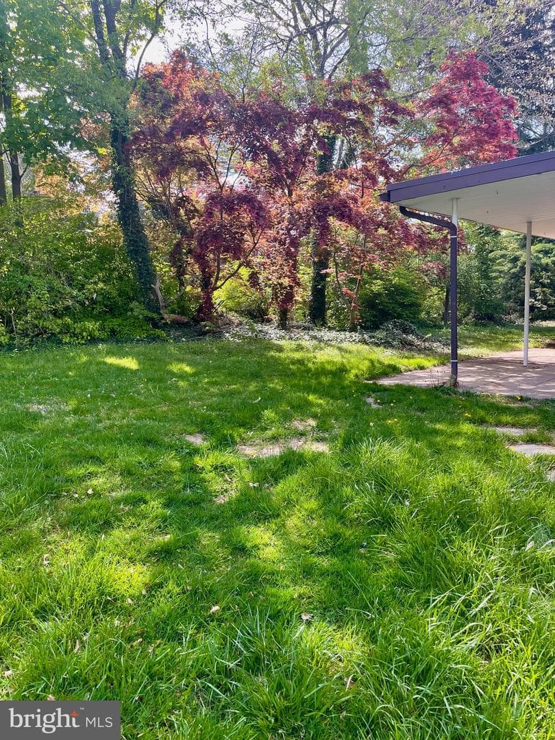 119 Robbins Avenue photo 65