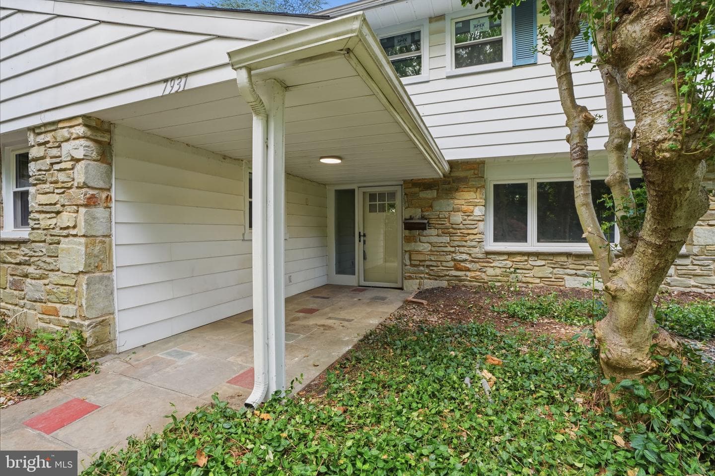 7931 Jenkintown Road photo 3