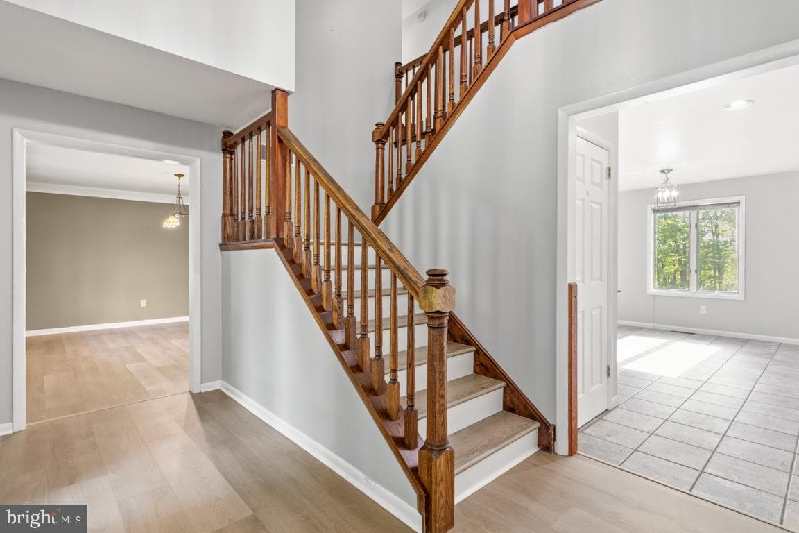 4908 Martha Lane photo 18