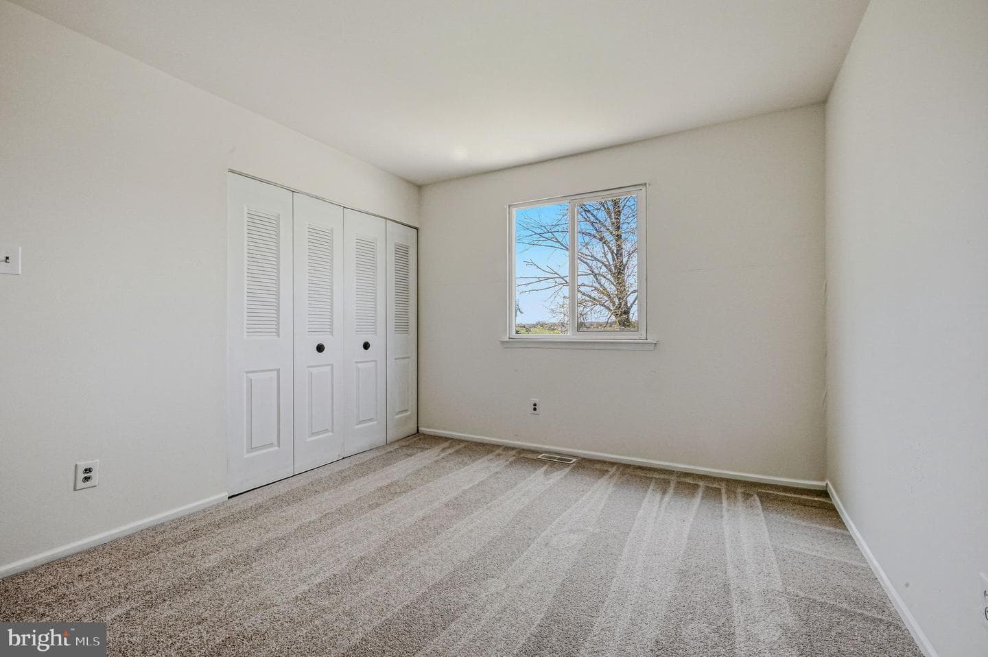 140 Wildflower Drive photo 22