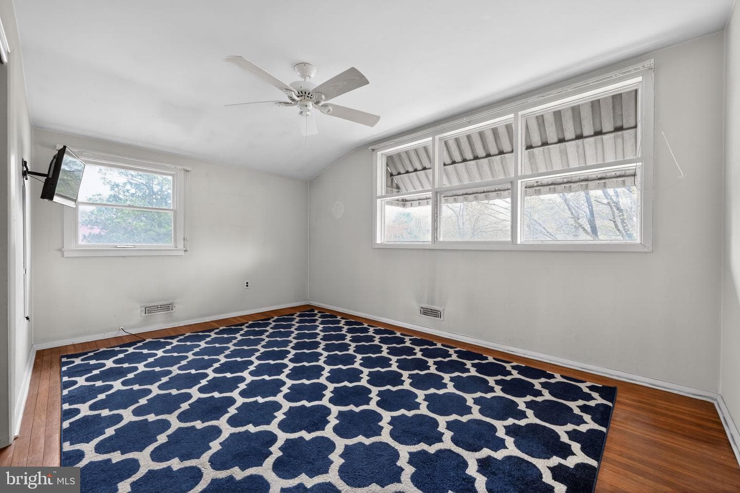 50 Ivy Lane photo 15