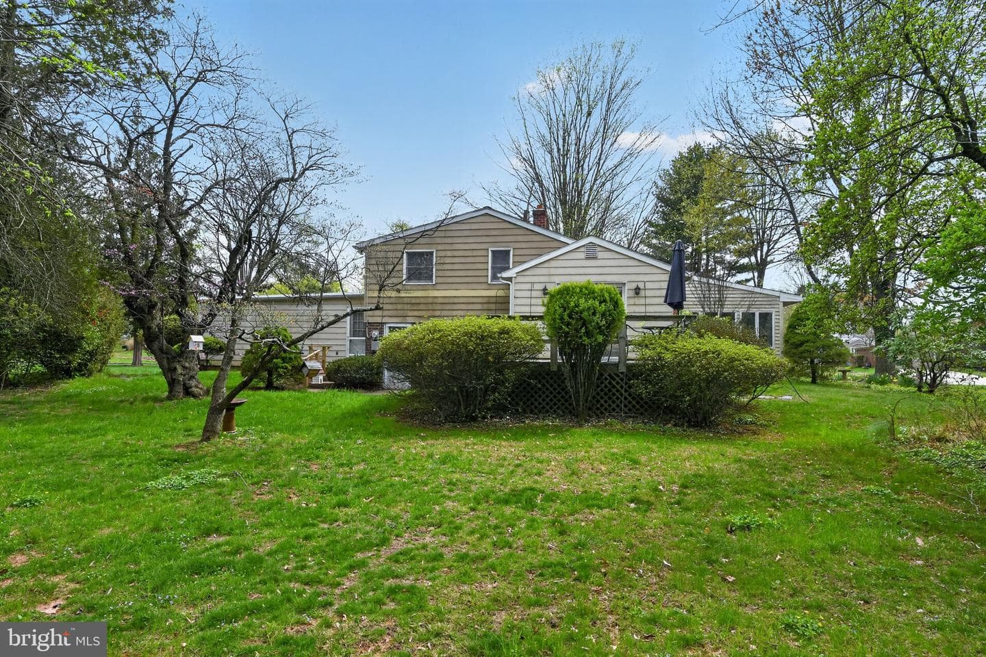 50 Ivy Lane photo 27