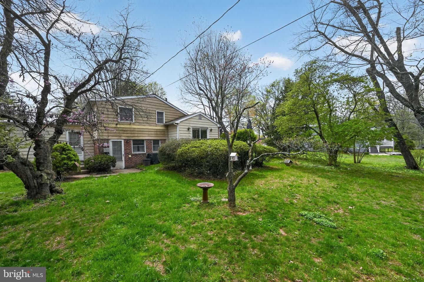 50 Ivy Lane photo 28
