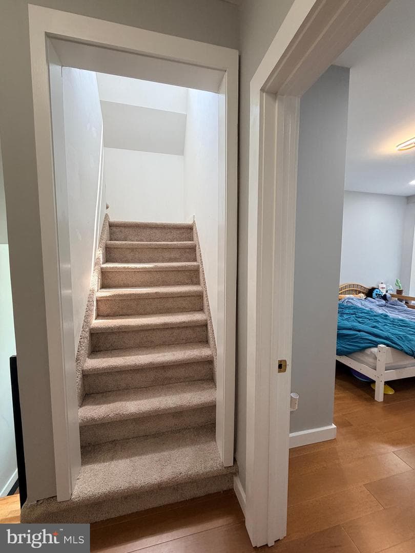 123 Bryn Mawr Avenue photo 45
